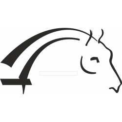 Autocollant tête de cheval paroi...