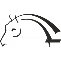 Autocollant tête de cheval paroi...