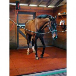 Dalle non drainante rouge 40mm...