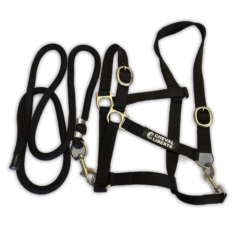 Licol en nylon Cheval liberté taille Full