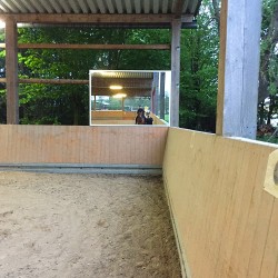 Miroirs de dressage 1,6 x 1,8m